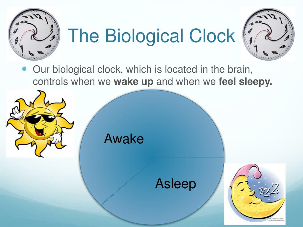 PPT Sleep PowerPoint Presentation, free download ID5531426