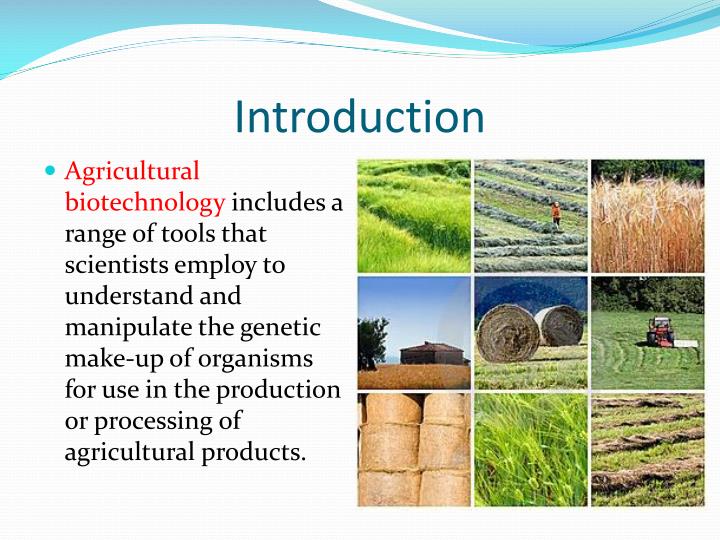 PPT Agricultural Biotechnology PowerPoint Presentation ID5533507