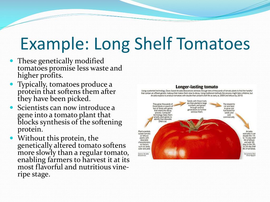 PPT Food Biotechnology PowerPoint Presentation, free download ID