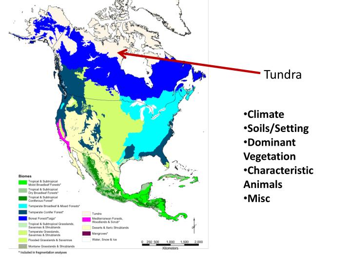 PPT Biomes 1 PowerPoint Presentation ID5534698