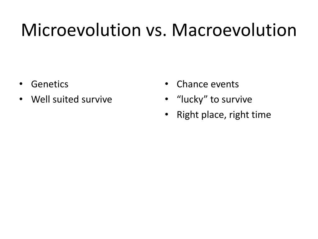 PPT - Chapter 19: Speciation and Macroevolution PowerPoint Presentation