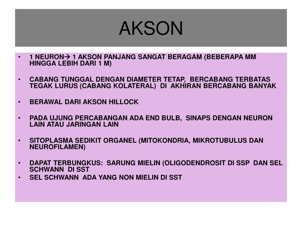 PPT JARINGAN SARAF PowerPoint Presentation, free download ID5541103