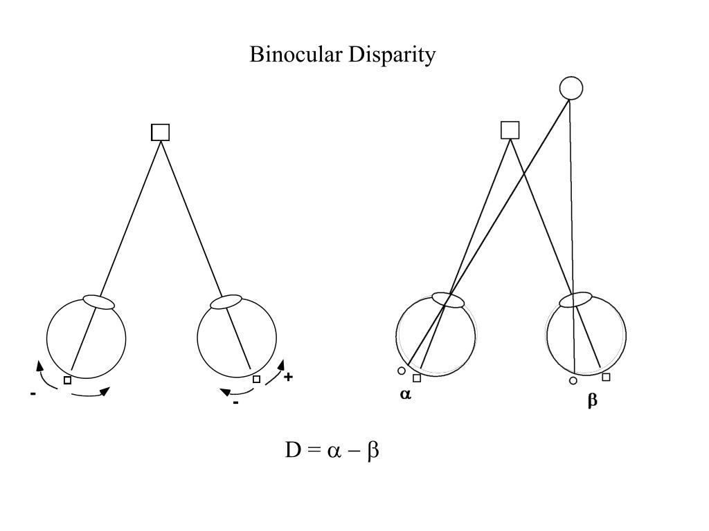 PPT Binocular Vision Outline PowerPoint Presentation, free download