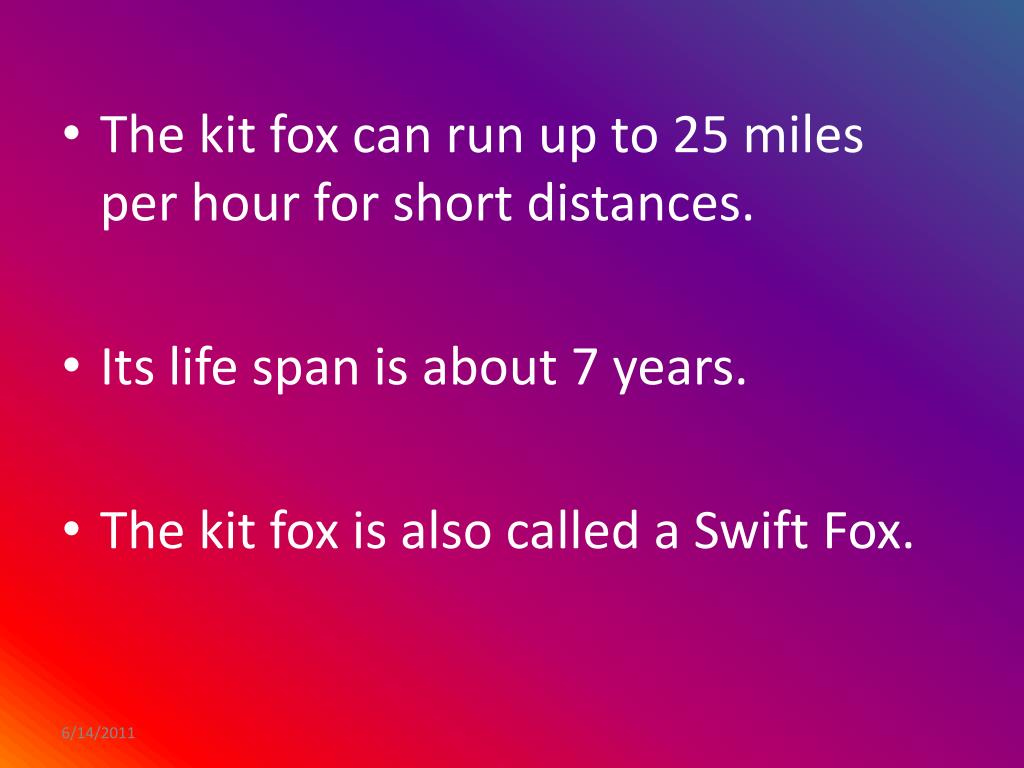PPT Kit Fox PowerPoint Presentation, free download ID5556641