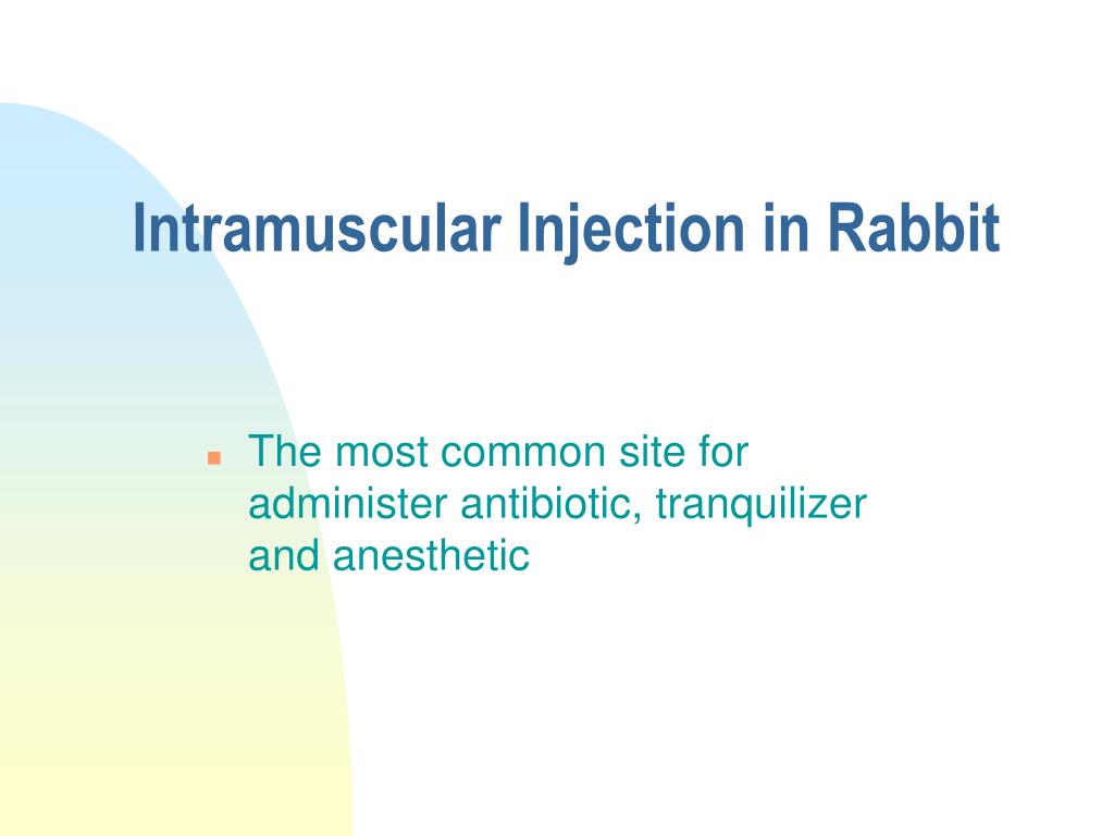 PPT Laboratory Animal Handling Technique PowerPoint Presentation, free download ID5557091