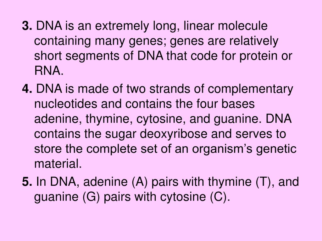 Chapter 12 Molecular Section 3 Dna, Rna, And Protein Answers