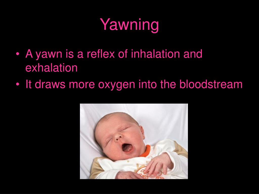 PPT Yawning What is it and why is it contagious (if it is