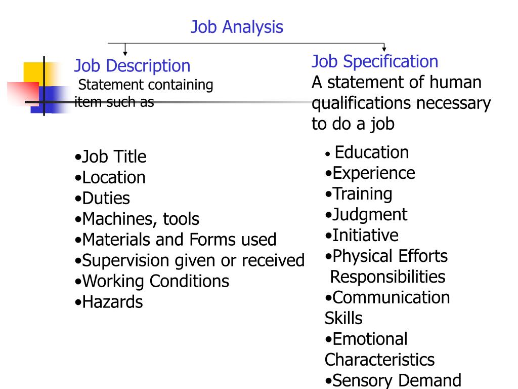 Human Resources Requirements Examples at Venessa Baker blog