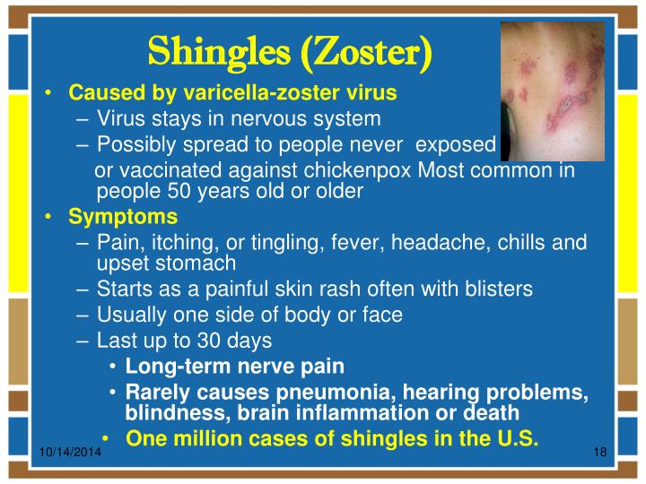 PPT Vaccine Preventable Diseases PowerPoint Presentation