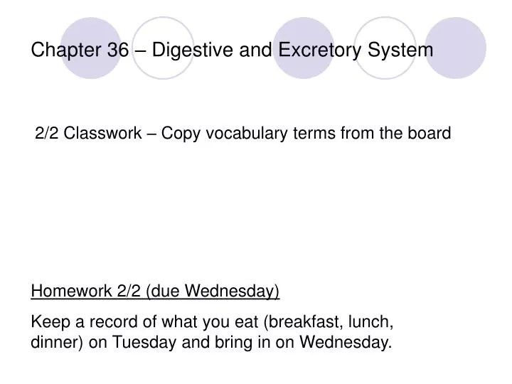 Digestive And Excretory Systems Chapter Test Holt