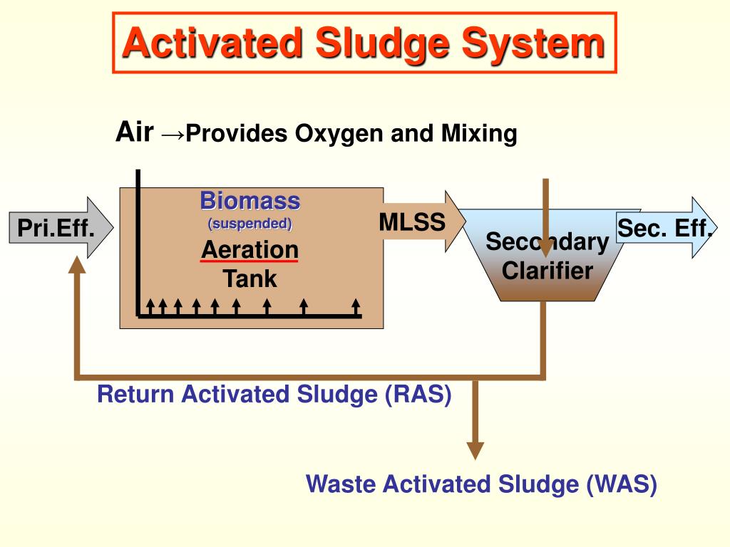 PPT ACTIVATED SLUDGE PROCESS PowerPoint Presentation, free download ID5569020