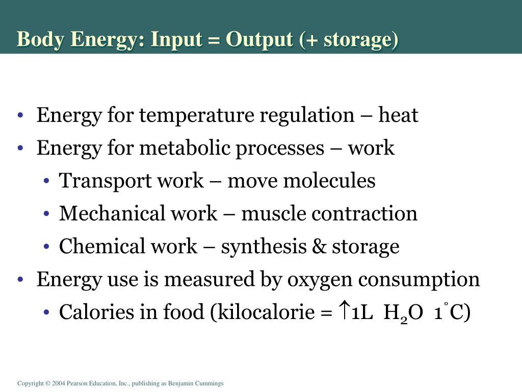 PPT Chapter 22 PowerPoint Presentation, free download ID5569406