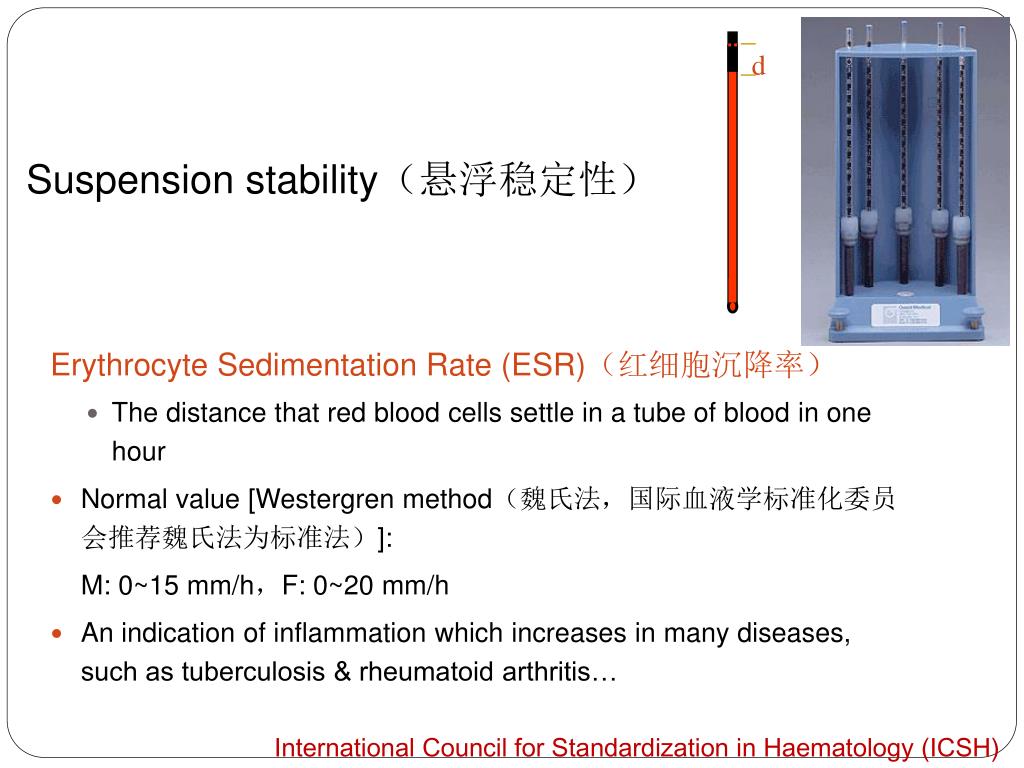 PPT BLOOD【 血液 】 PowerPoint Presentation, free download ID5573110