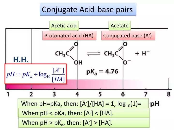 PPT Conjugate Acidbase pairs PowerPoint Presentation, free download