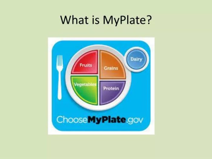 The Basics of Choose MyPlate - Health Beet Is myplate accurate