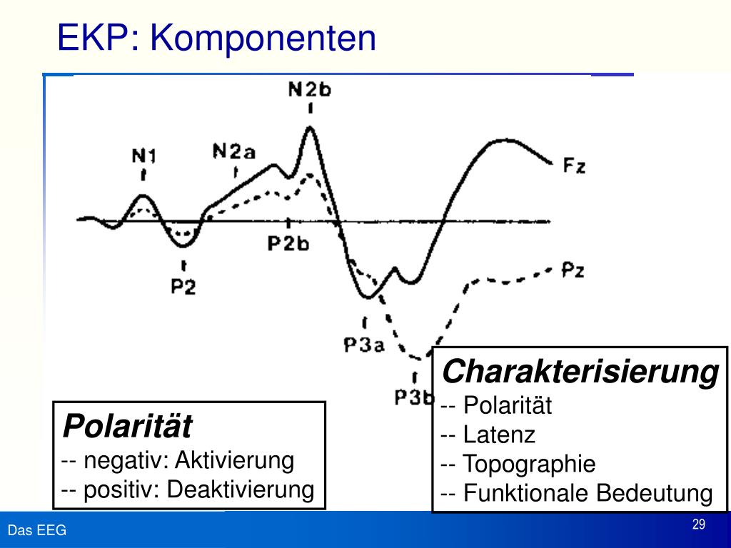 PPT Methoden der biologischen Psychologie PowerPoint