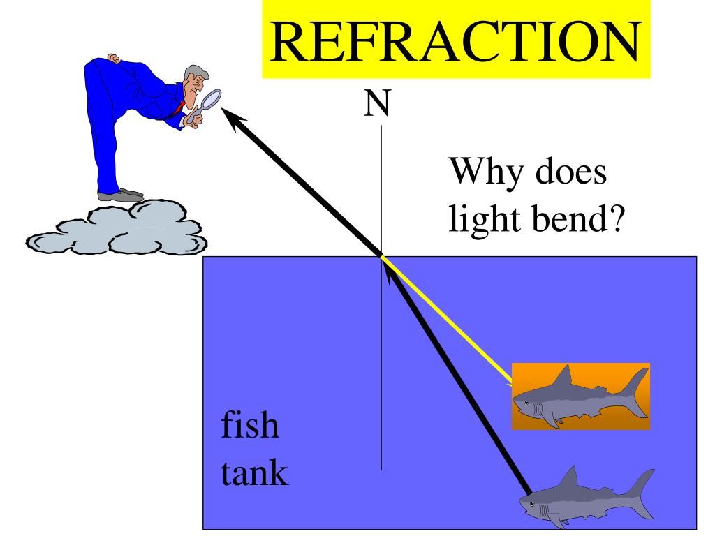 PPT Snell’s Law PowerPoint Presentation, free download ID5579006