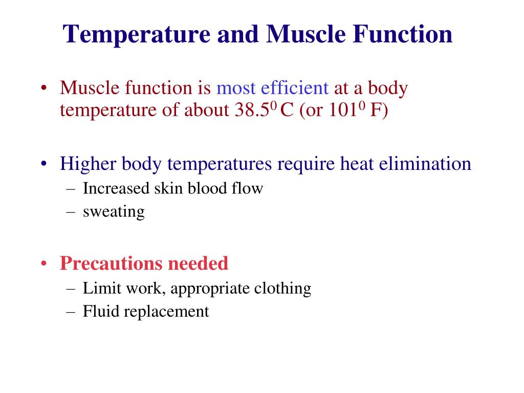 PPT Muscle Temperature Effects PowerPoint Presentation, free