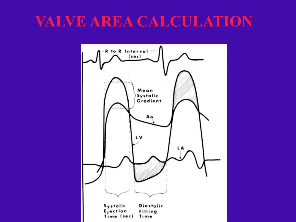 PPT HEMODYNAMIC ASSESSMENT CARDIAC CATHETERIZATION LABORATORY