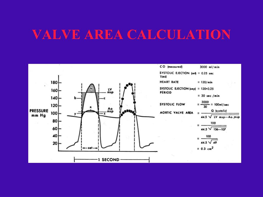 PPT HEMODYNAMIC ASSESSMENT CARDIAC CATHETERIZATION LABORATORY