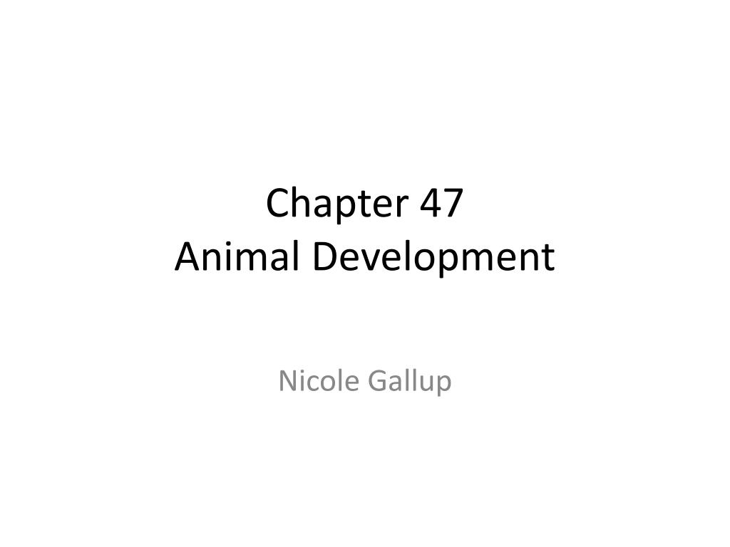 PPT Chapter 47 Animal Development PowerPoint Presentation, free