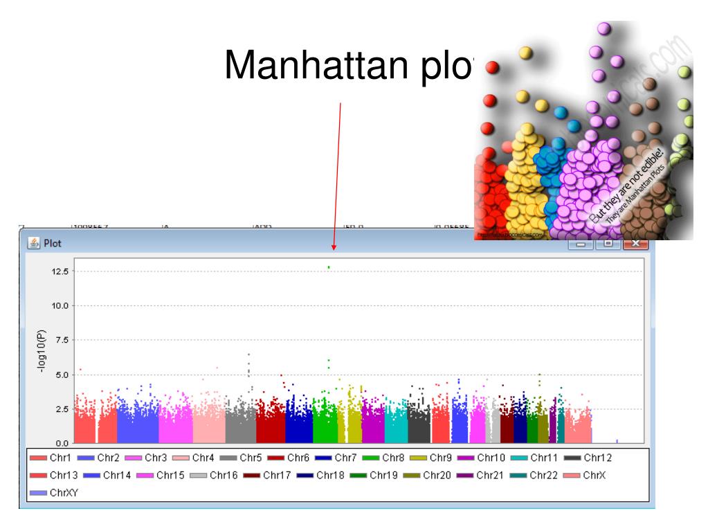 PPT Genomewide association studies (GWAS) PowerPoint Presentation
