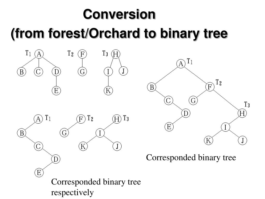PPT Chapter 10 Trees and Binary Trees PowerPoint Presentation, free