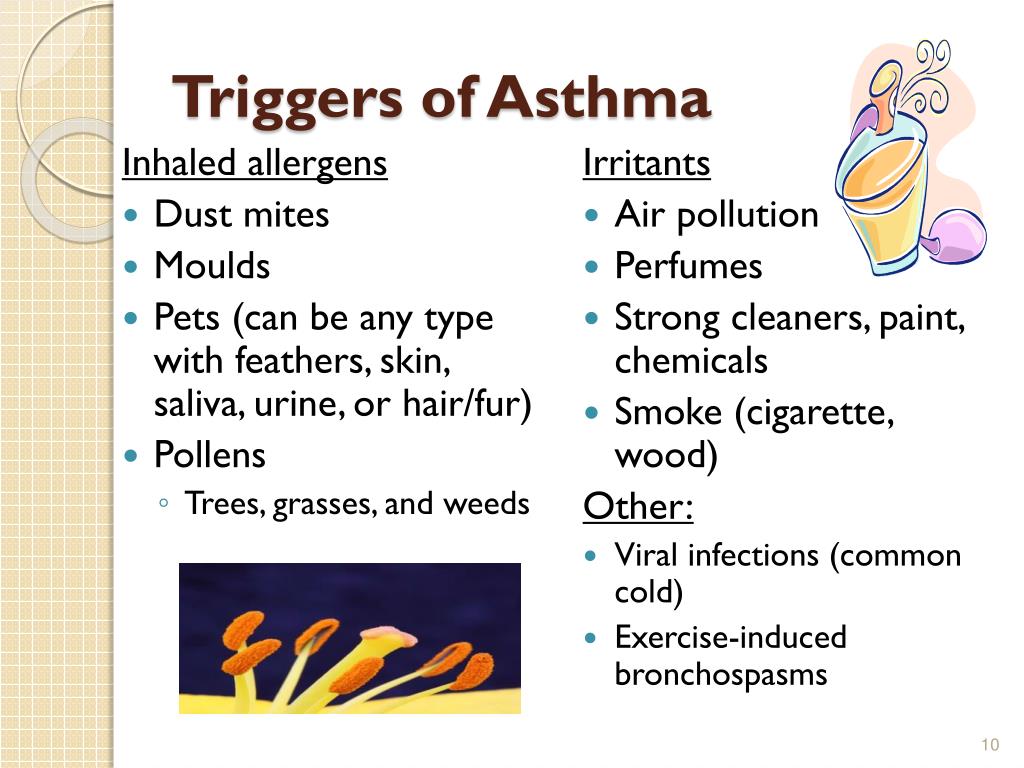 PPT ASTHMA and ALLERGIES PowerPoint Presentation, free download ID