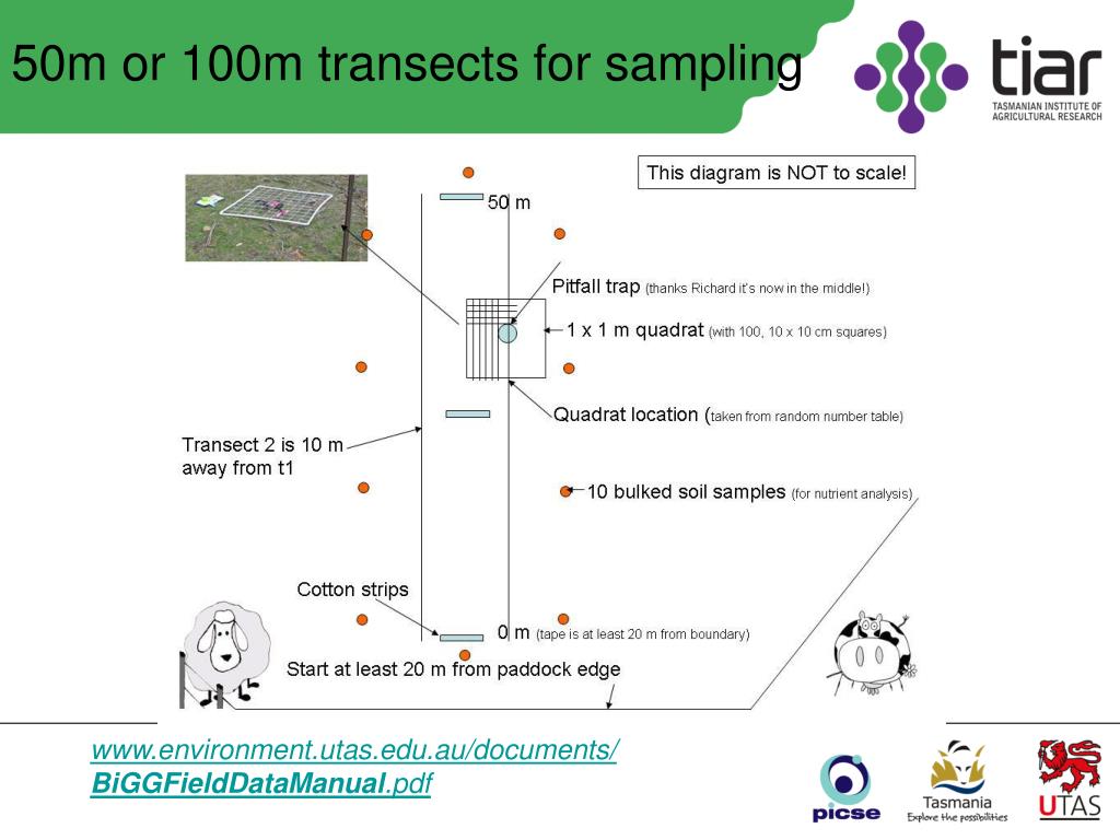 PPT Soil Biodiversity Sampling techniques for school science