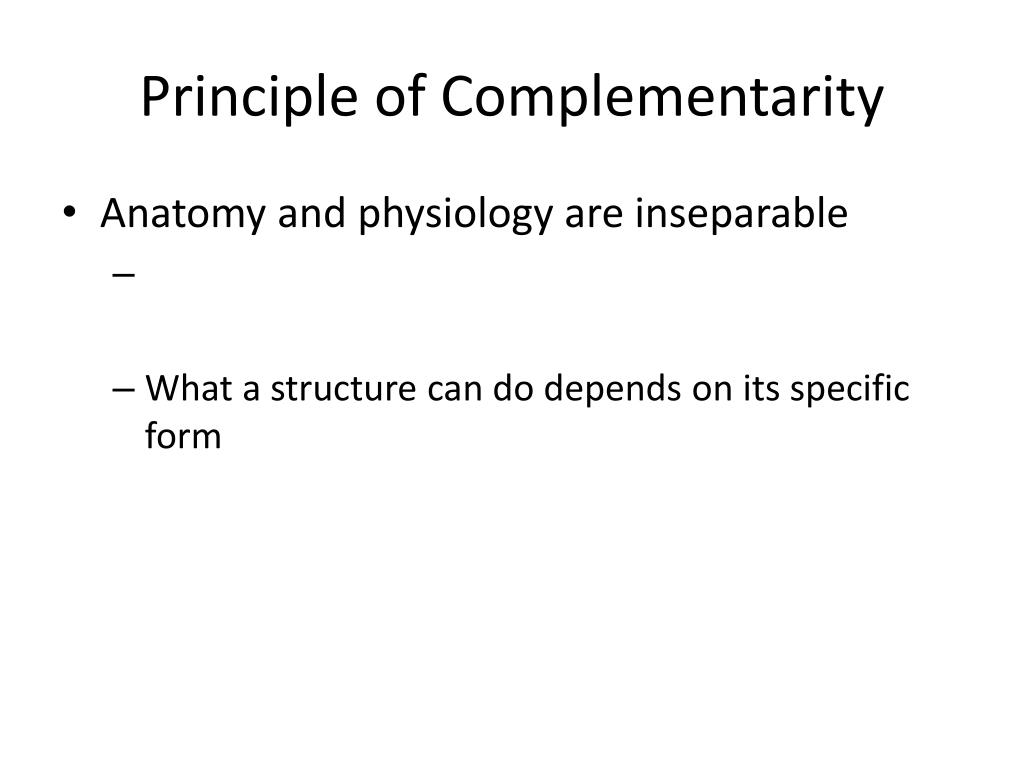 PPT BSC 181 PowerPoint Presentation, free download ID5592003