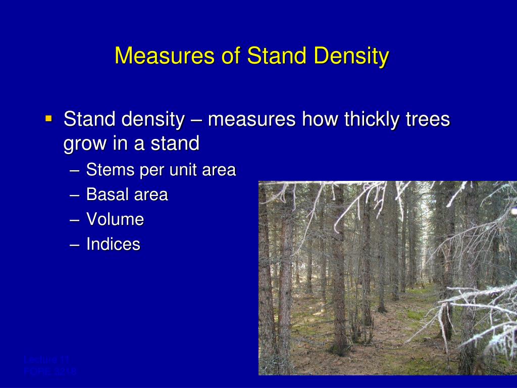 PPT Forest Mensuration II PowerPoint Presentation, free download ID