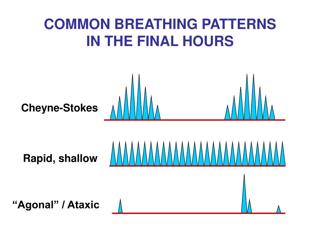 PPT Palliative Management Of PowerPoint Presentation, free download