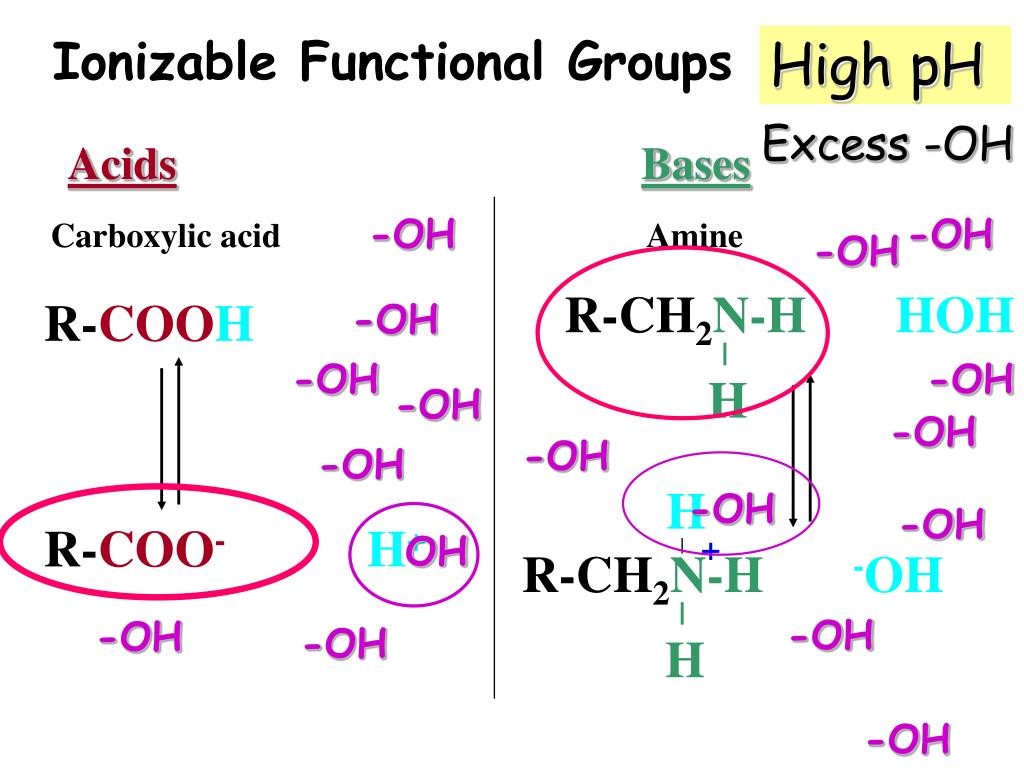 PPT Lecture 4 Carbon Chemistry, Functional Groups, Buffers 9/7/05