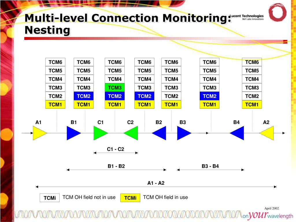 PPT Optical Transport Network & Optical Transport Module PowerPoint