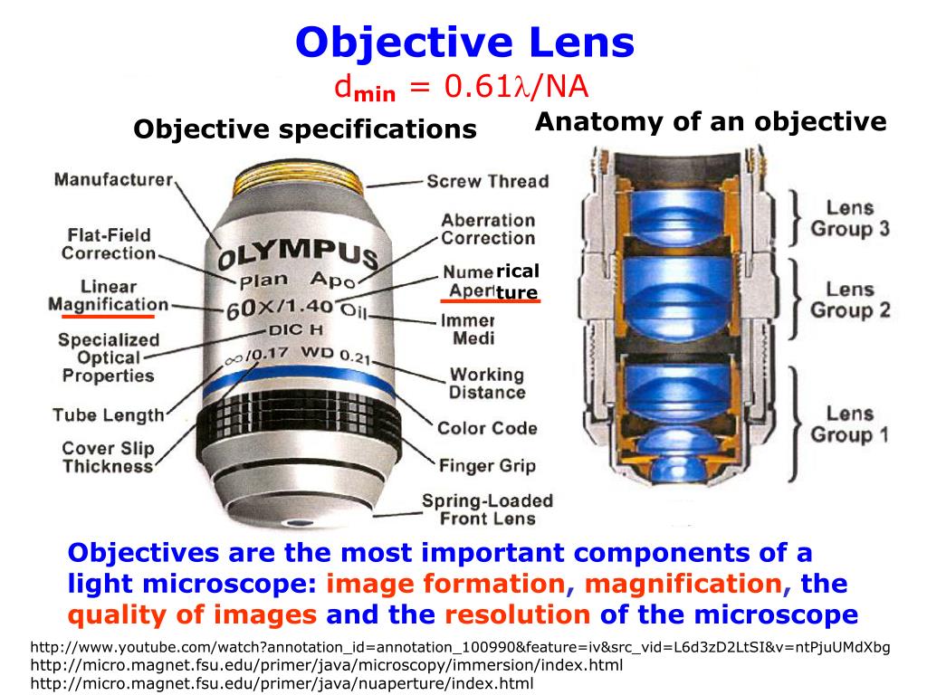 PPT Lecture2 Optical Microscopy PowerPoint Presentation, free