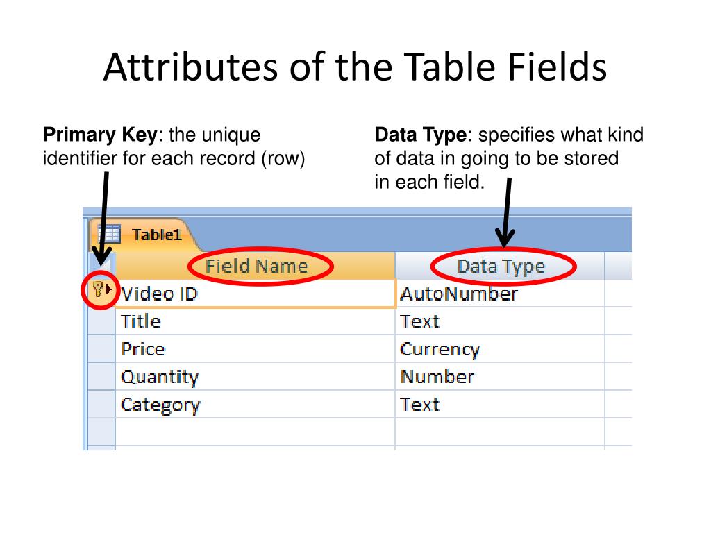 PPT What is a Database? PowerPoint Presentation, free download ID
