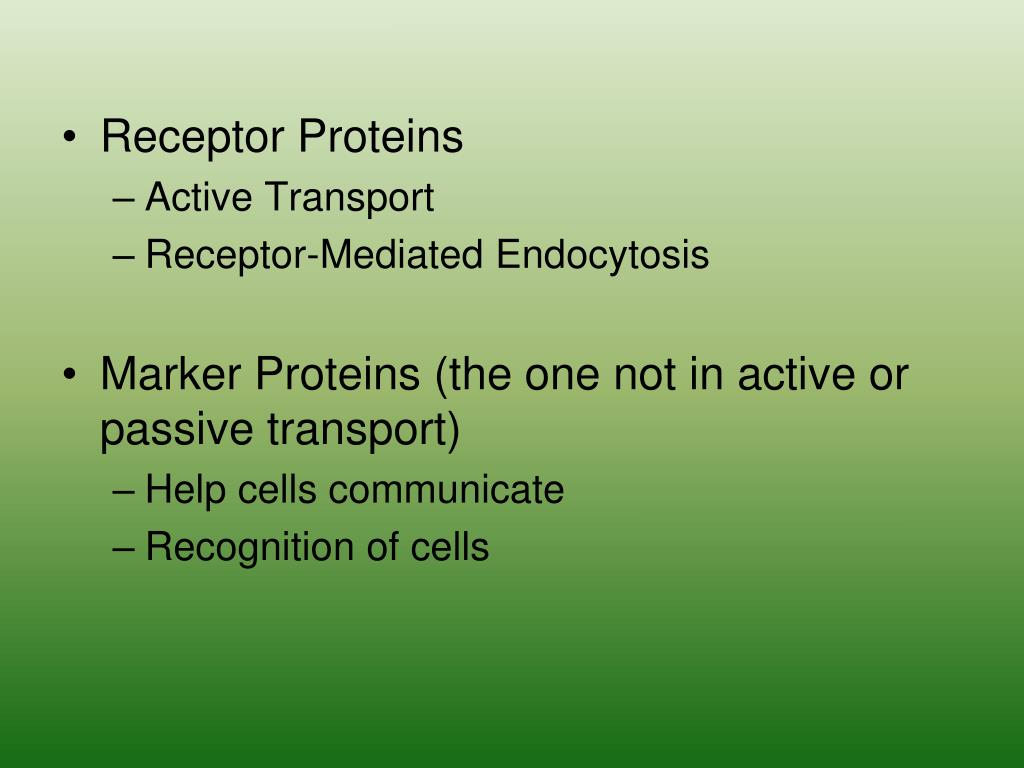 PPT Lab PowerPoint Presentation, free download ID5599878