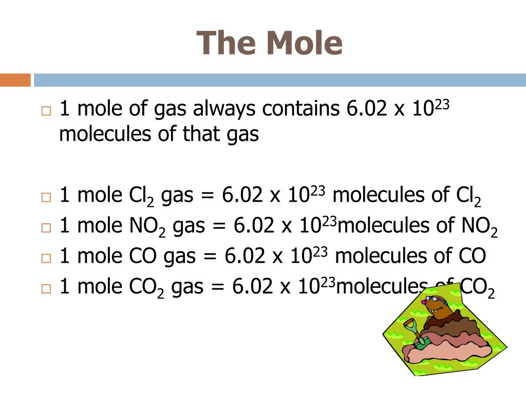 PPT Unit 4 The Mole PowerPoint Presentation, free download ID5601061