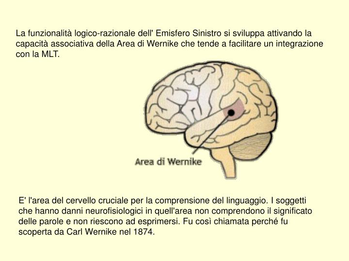 PPT Corteccia cerebrale funzioni PowerPoint