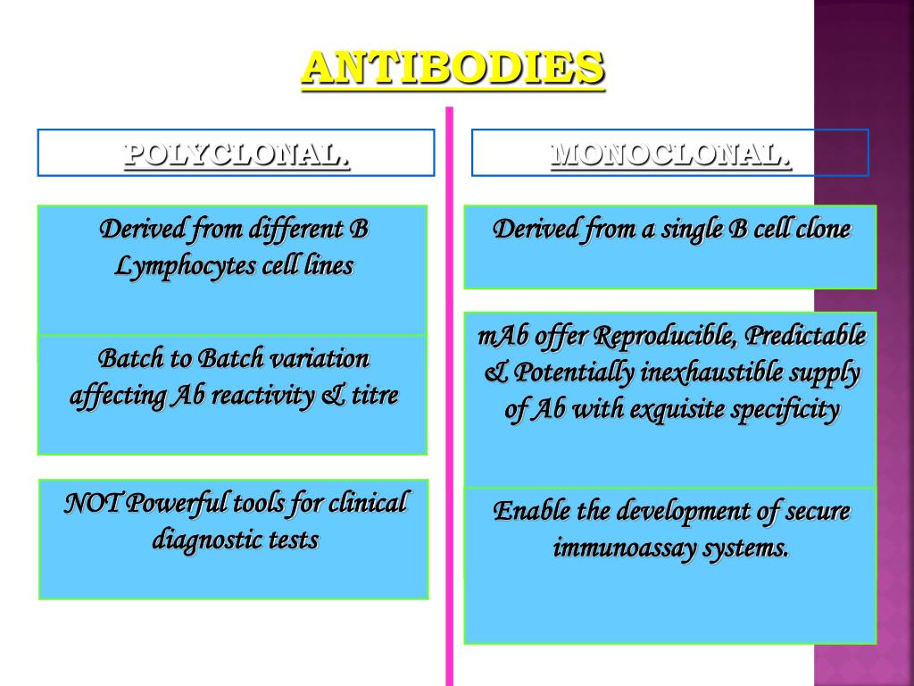 PPT APPLICATIONS OF MONOCLONAL ANTIBODIES PowerPoint Presentation