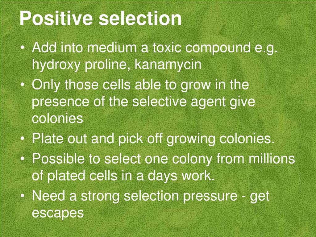 PPT Other Plant Tissue Topics PowerPoint Presentation, free download ID5607560