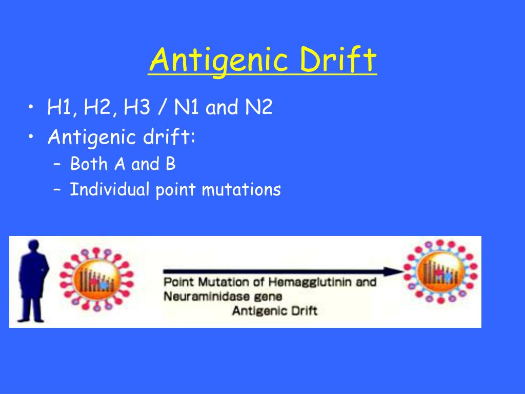 PPT Influenza PowerPoint Presentation, free download ID5609358