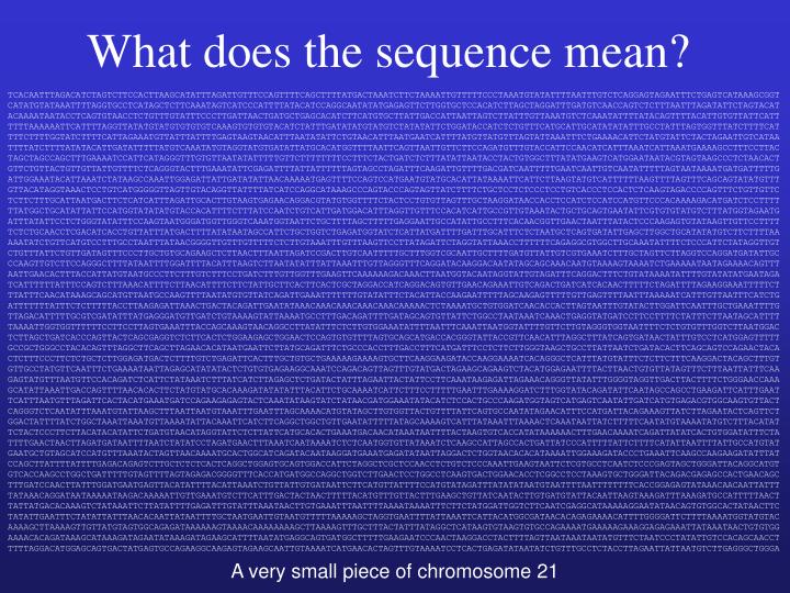 PPT Human Genome Project PowerPoint Presentation ID5609609
