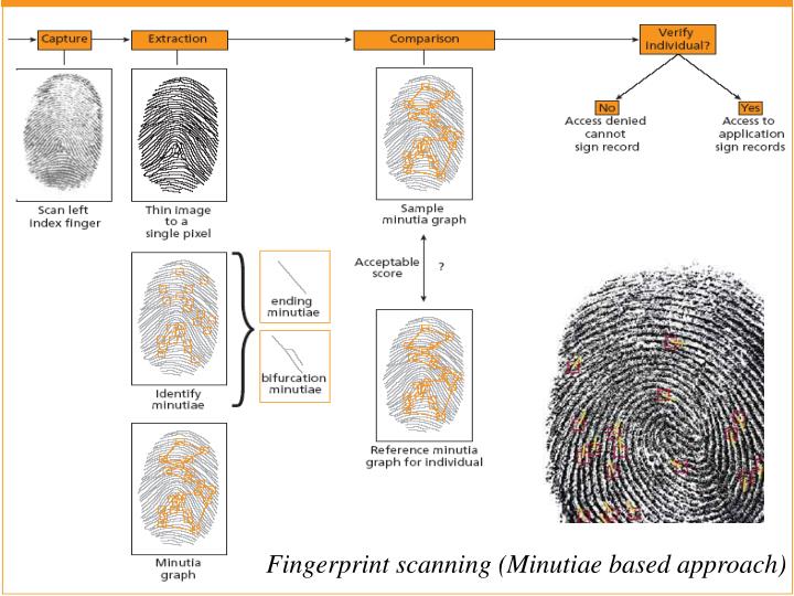 PPT TYPES OF BIOMETRICS (Based on Chapter 3&4) PowerPoint