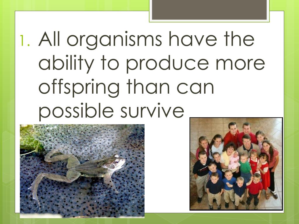 PPT Adapting to the Environment PowerPoint Presentation, free download ID5614756