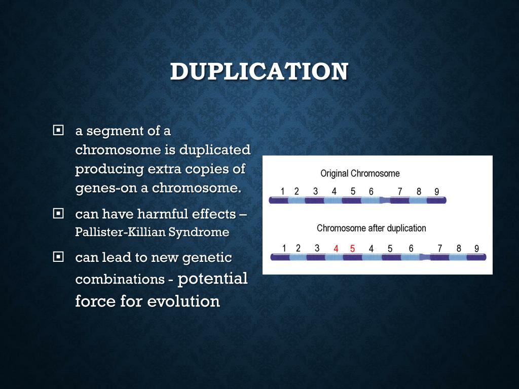 PPT Chromosomal Mutations PowerPoint Presentation, free download ID5615195