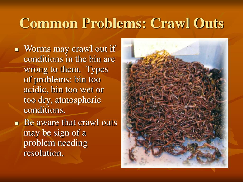 PPT / Worm Composting PowerPoint Presentation, free