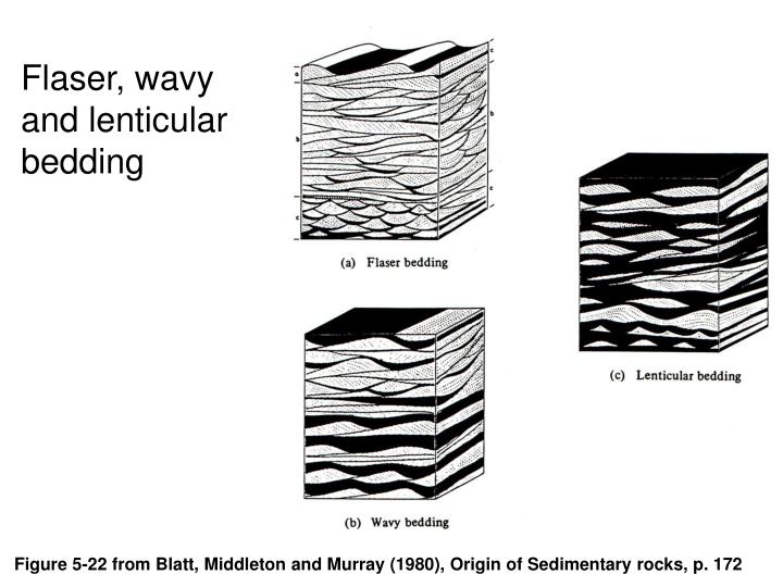 PPT Geology 103 Sedimentology and Stratigraphy Tim Horner Geology Department, CSU Sacramento