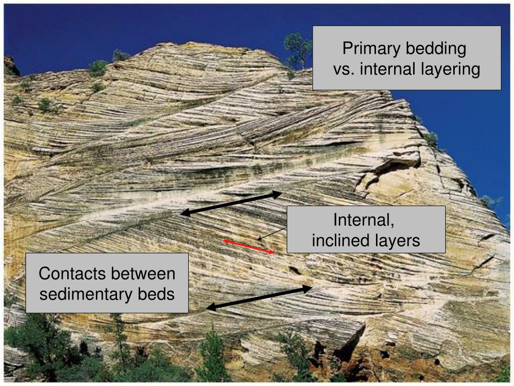 PPT Today’s Lecture PowerPoint Presentation, free download ID5616889