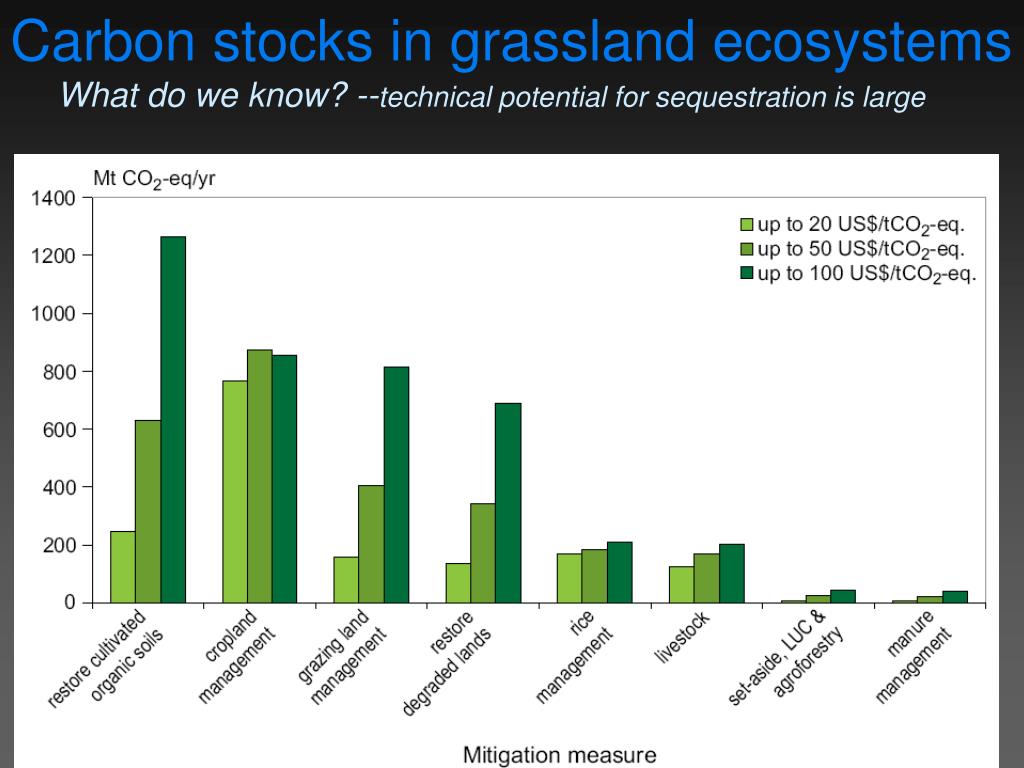 PPT Grassland Soil Carbon Stocks Status, Opportunities and
